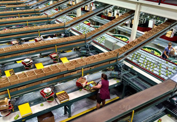 Food equipment
